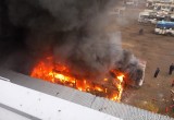Два троллейбуса сгорели в Вологде