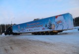 Крым получит в подарок вологодскую новогоднюю ель