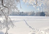 По прогнозам синоптиков, в Вологде установится теплая погода на Новый год