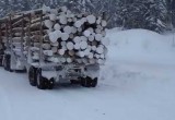 Житель Вологодской области пытался сжечь лесовоз за долги владельца