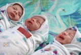 Известны самые популярные имена младенцев на Вологодчине