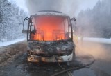 Предварительная причина возгорания автобуса со школьниками – неисправность мотора (ФОТО)