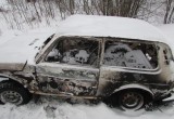Вологжанин угнал автомобиль, а потом сжег его (ФОТО)