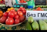 Эксперты Роспотребнадзора не обнаружили ГМО в вологодских продуктах