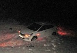 В Череповецком районе машина слетела в кювет, пострадал водитель (фото)