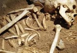 В Бабаево мужчина в своем гараже откопал человеческие кости