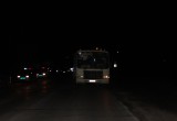 В Вологде пассажирский автобус сбил пешехода