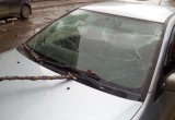 В Вологде береза упала на дорогую иномарку и повредила ее (ФОТО)