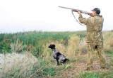 Сезон охоты в Вологодской области открывается 29 апреля