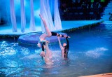 Впервые в Вологде выступит «Московский цирк на воде»