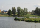 В Вологде застройщики уничтожили около 700 кг рыбы в реке Тошне
