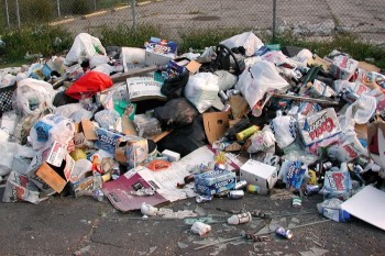 В Вологде нашли больше 100 стихийных свалок мусора
