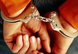 Вологжанина признали виновным в 13 случаях мошенничества