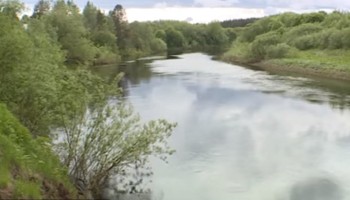 ГУ МЧС: поиски упавшей в реку девочки в Тарноге возобновились