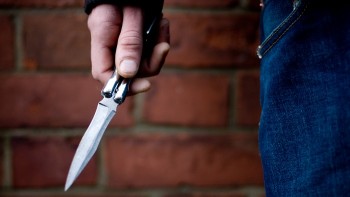 Вологжанин получил условный срок за нападение с ножом на полицейского