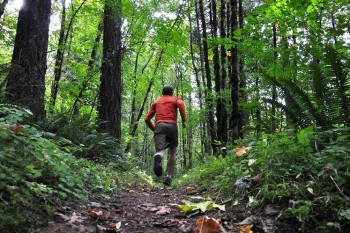 Под Череповцом неадекватный пенсионер убежал в лес и пропал