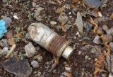 Сотрудники Росгвардии обнаружили в Череповце снаряд для гранатомета