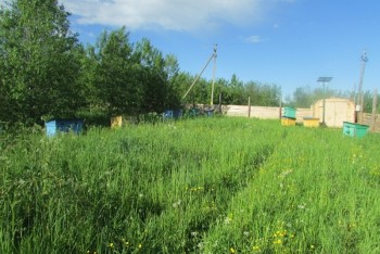 В Череповецком районе судимый пасечник украл чужих пчел 