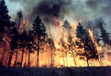 В Вологодской области объявлена высокая вероятность лесных пожаров