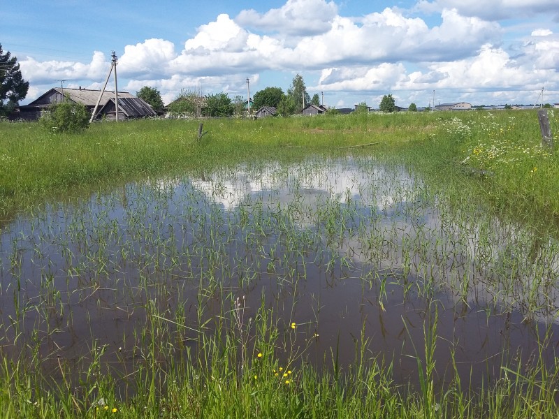 Старое село погода вологодской область. Село Богородское Вологодская область.