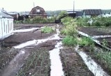 ГУ МЧС предупредило о риске гибели урожаев в Вытегорском районе