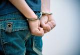В Вологде группу несовершеннолетних осудили за кражи, грабежи и угон