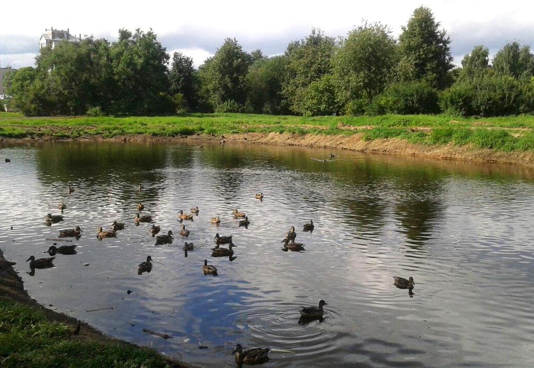 В Вологде очищены пруды в Ковыринском парке