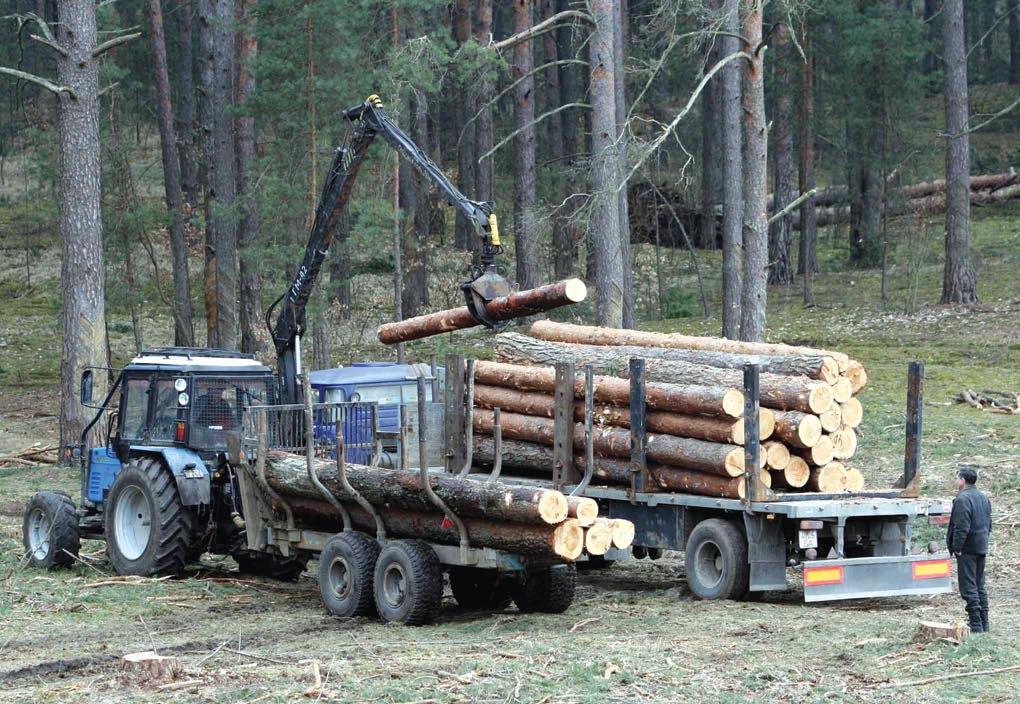Директор Вытегорского лесхоза стал фигурантом других уголовных дел