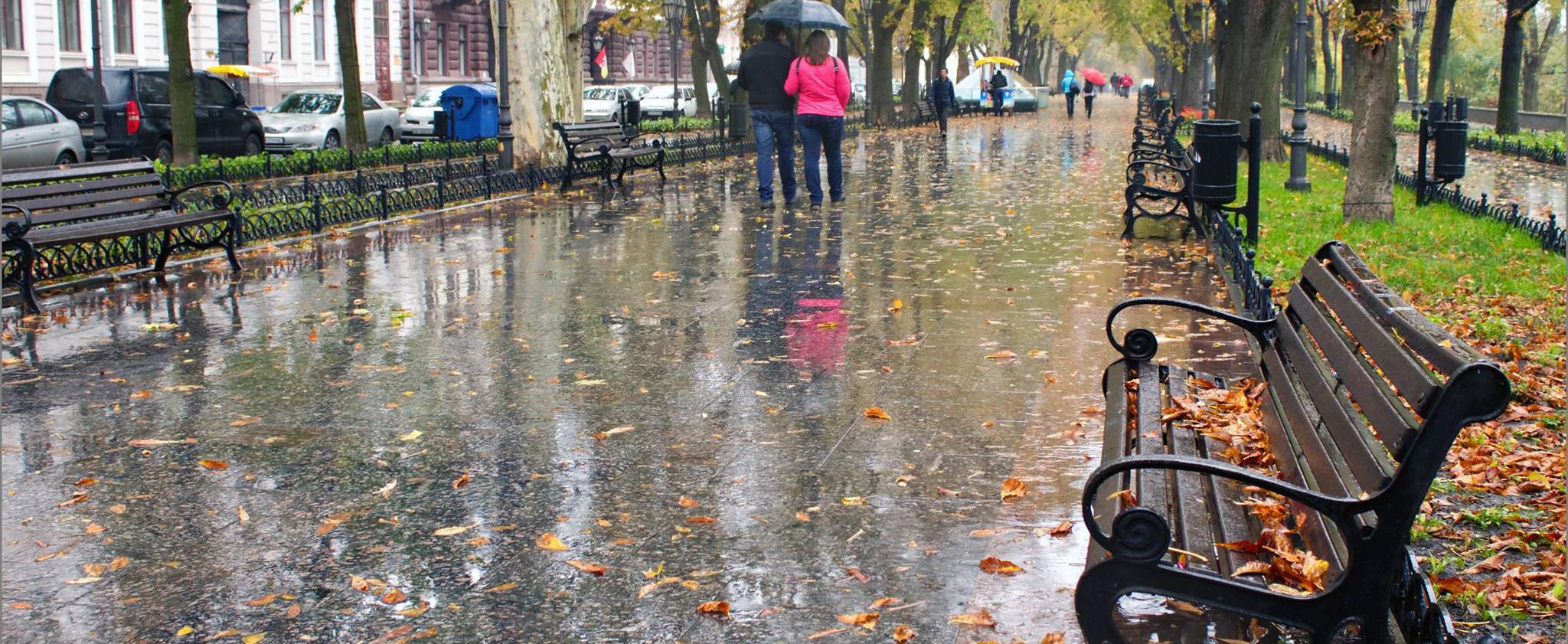 Осенний дождь в Ярославле