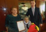 Путин поздравил жительницу Харовского района со 100-летним юбилеем