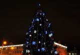 В октябре Вологда начала выбирать главную елку Нового года