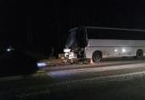 Автобус с детьми столкнулся с грузовиком: один человек погиб, 17 ранены (ВИДЕО)