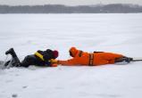 Двое любителей зимней рыбалки провалились под лед в Вологде