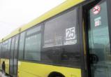 Пассажирский автобус в Череповце обстреляли из пневматики
