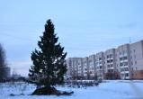 В микрорайонах Вологды начали устанавливать новогодние елки