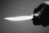 В Череповце дочка с ножом напала на своего отца