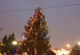 Огни на первой елке на площади Чайковского в Вологде зажглись только с третьего раза (ФОТО)