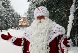 Депутат Санкт-Петербурга против цвета шубы Деда Мороза