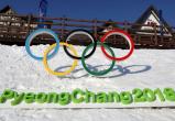 Вологжане примут участие в зимних Олимпийских играх в Пхенчхане 