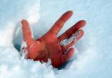 Мужчину и женщину, замерзавших в снегу, спасли в Череповце