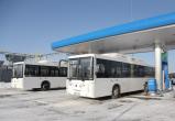 10 вологодских автобусов перевели на экологичное топливо