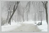 Вологда встретит Масленицу пасмурной и снежной погодой 