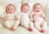 500 тысяч рублей получат вологодские семьи при рождении тройняшек 