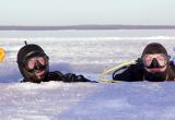 Вологодские дайверы учат зарубежных туристов секретам полярных погружений