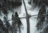 Лес сохранят на улице Олимпийской в Череповце пообещала Елена Авдеева