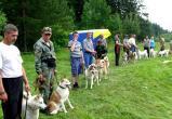 29-я выставка породистых охотничьих собак пройдет 3 марта в Вологде