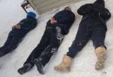 Банду грабителей задержали по горячим следам в Вологодской области