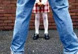 Вологжанин пойдет под суд за развращение 9-летней девочки