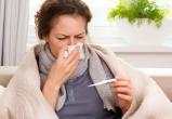 За неделю ОРВИ и гриппом заболели почти 16 тысяч жителей Вологодчины