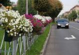 Букет за  17 миллионов: контракт  на посадку цветов заключен в Череповце